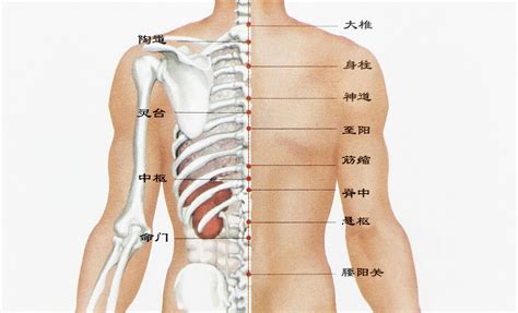 背上很多痣|后背有痣代表什么图解 后背有痣代表什么